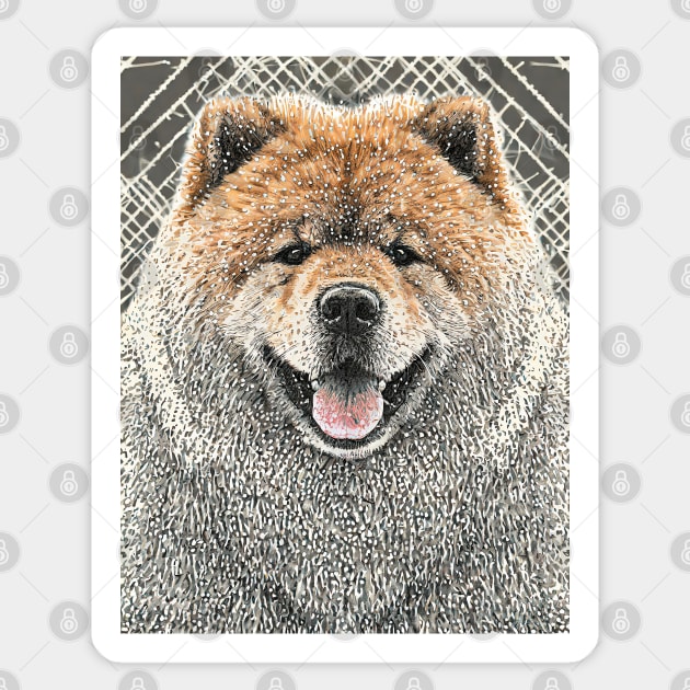 Dog Portrait - Chow Chow Sticker by Dec69 Studio